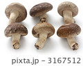 椎茸