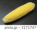 とうもろこし