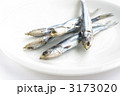めざし