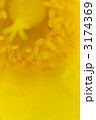 3174369