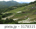丸山千枚田