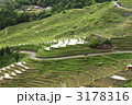 丸山千枚田