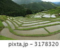 丸山千枚田