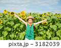 ひまわり畑で