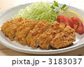 トンカツ皿盛り