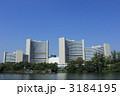 国連事務局、IAEA本部