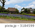 ラベンダーなど花畑がある農村風景 