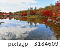 日本庭園のモミジの紅葉と湖面に映える景観