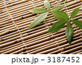 南国イメージ