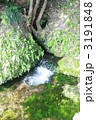 3191848
