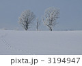 3194947