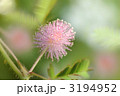 夏の忘れ物～小さな花火～