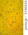 3196830