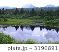 夏の八甲田・睡蓮沼