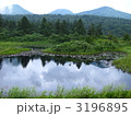 夏の八甲田・睡蓮沼