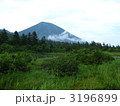 夏の八甲田・睡蓮沼