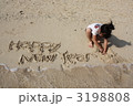 砂浜（Happy New Year）