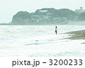 3200233