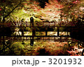 紅葉デート