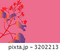 3202213