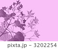 3202254