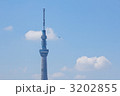 東京スカイツリーとトンボと青空