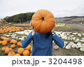 パンプキン畑のお化けカボチャ