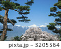 北アルプスと桜