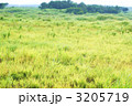 草原の輝き・富士の裾野の光る原野