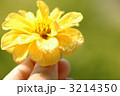 元気色あげる