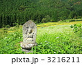 飯山の棚田B
