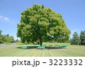素材ナンバー 3223332 : 「昭和記念公園」