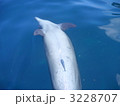3228707