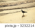 3232214