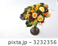 Autumn Color Rose