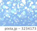 3234173
