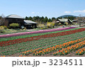 大分県玖珠の観光地　くじゅう花公園