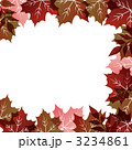 3234861