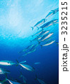 h-iz093
