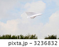 青空バックの紙飛行機