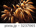 花火のアップ