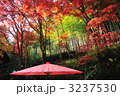 教林坊の紅葉