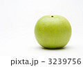 3239756