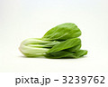 3239762