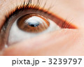角膜にピントを併せた写真