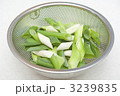 葱