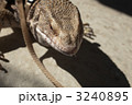 3240895