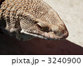 3240900