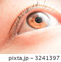 虹鮮と瞳孔にピントをあわせた写真