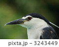 3243449